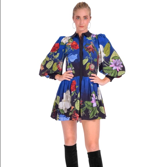 alice + olivia Dresses & Skirts - alice + olivia Bertha Blouson long sleeve Shirtdress mini M blue colorful print